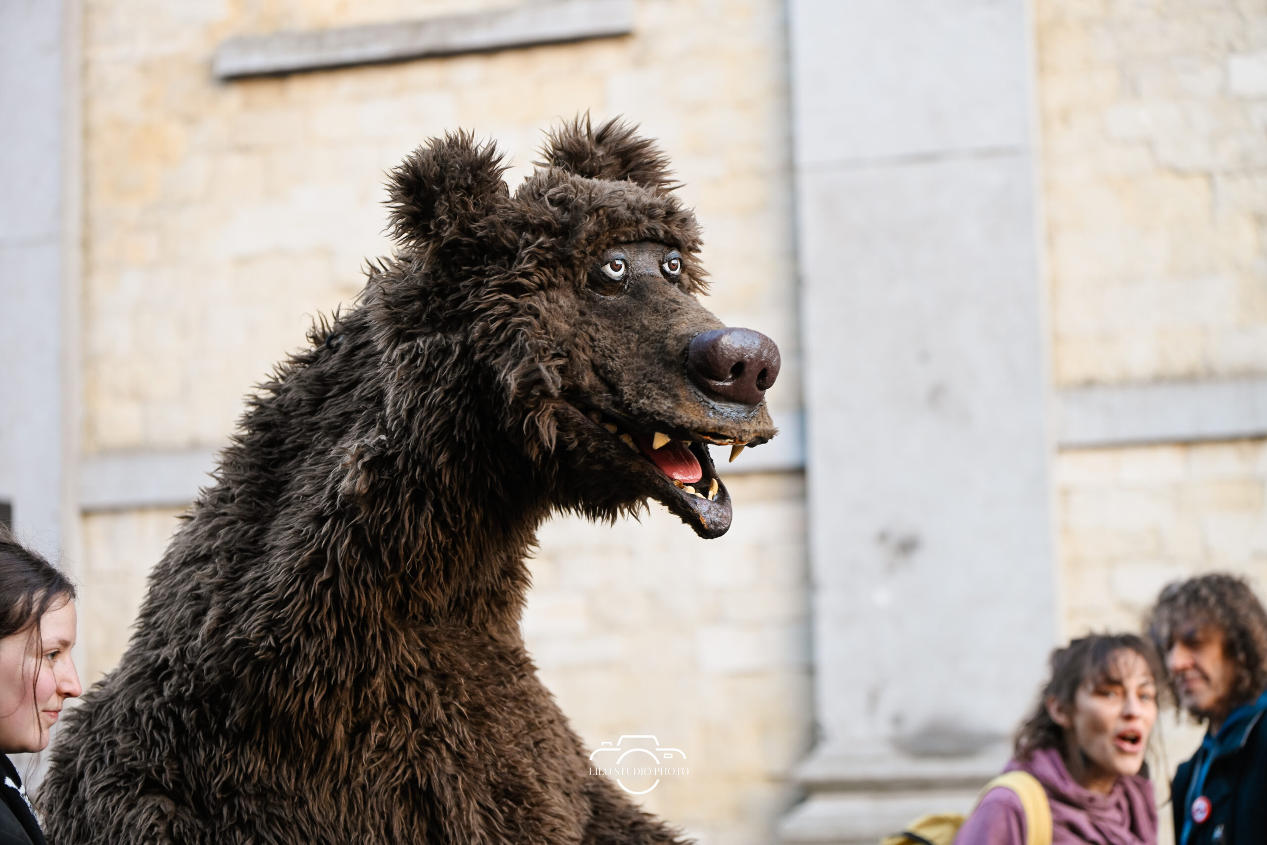 Lilo Studio Photo 00017