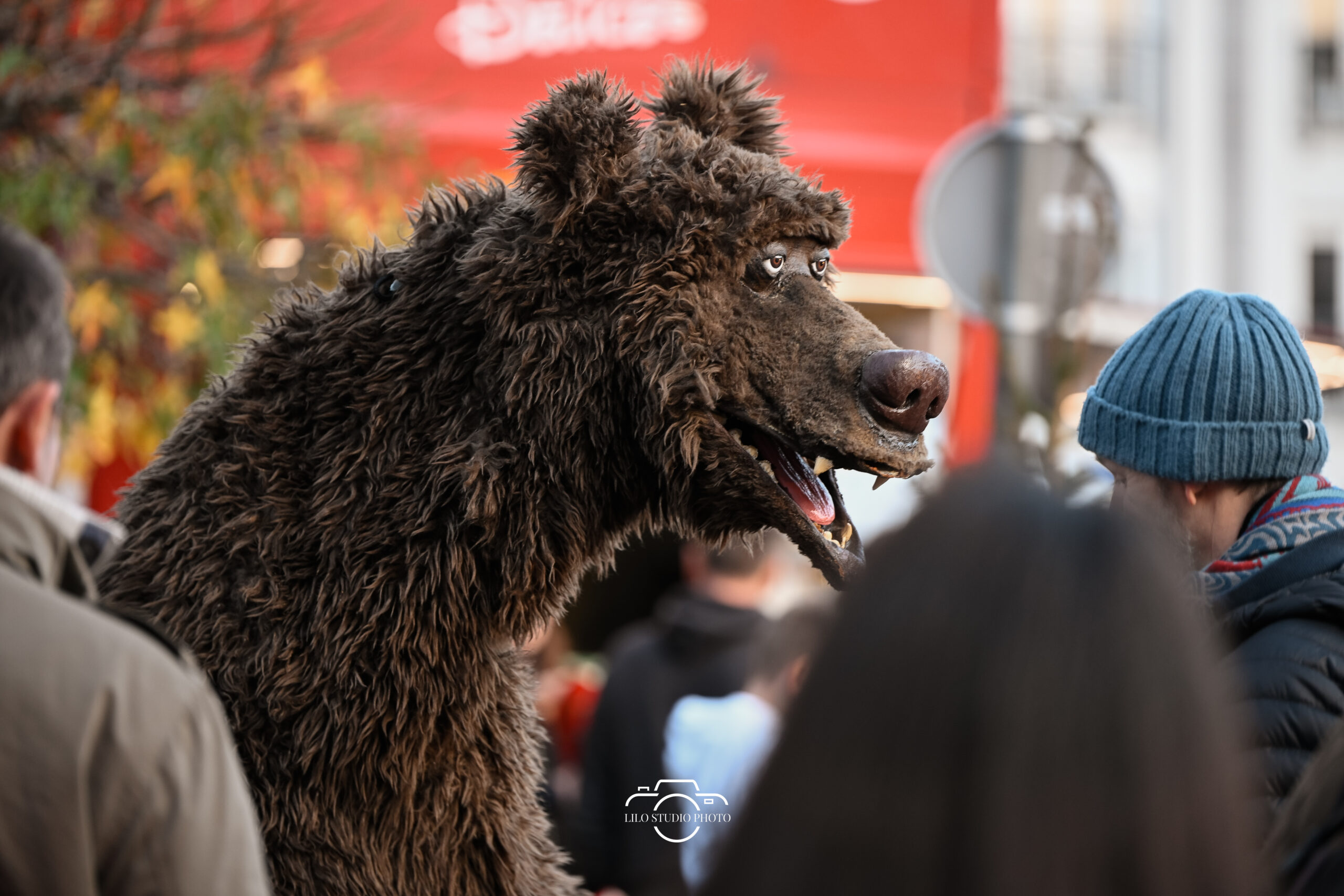 Lilo Studio Photo 00023