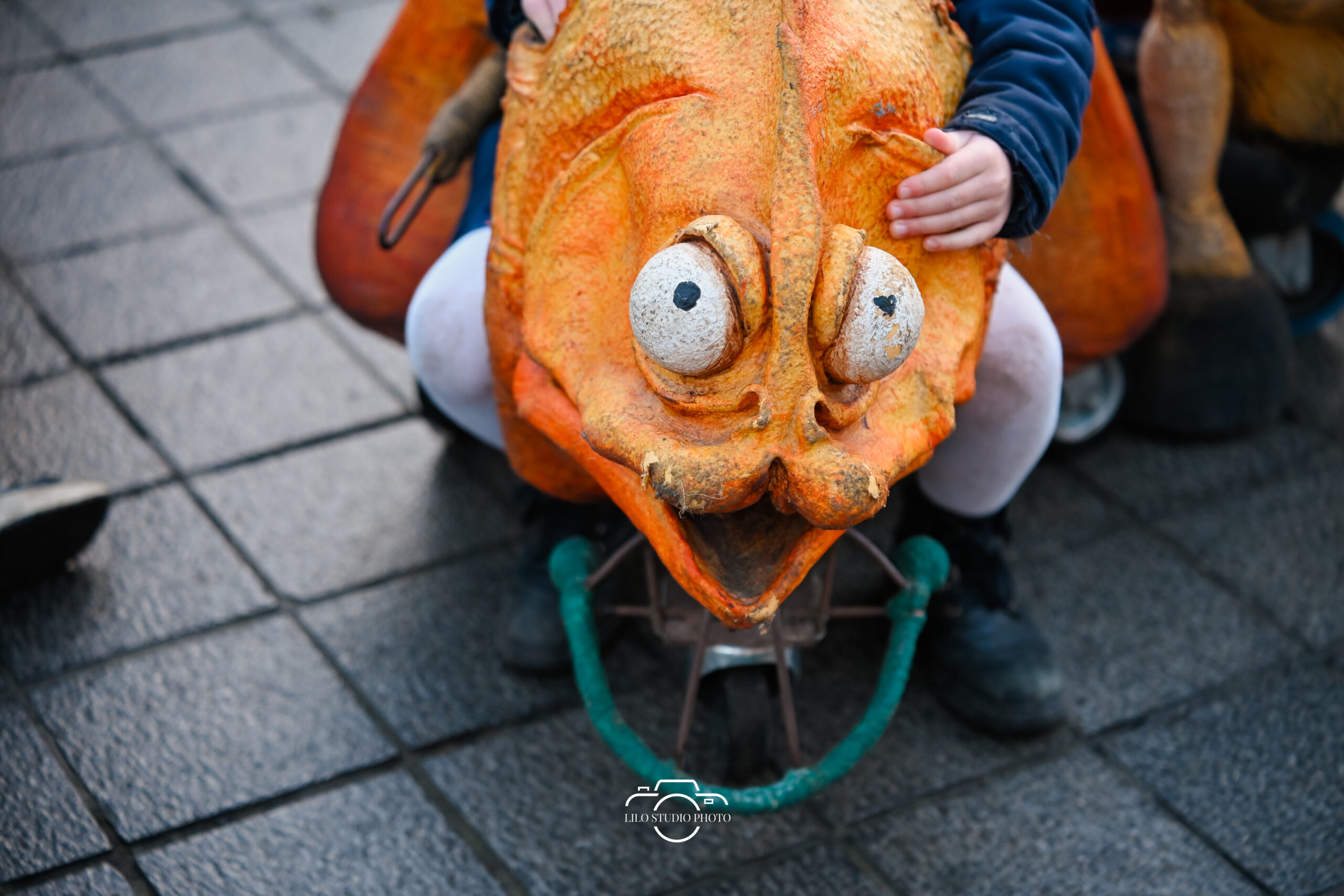 Lilo Studio Photo 00036