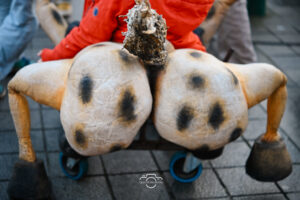 Lilo Studio Photo 00037