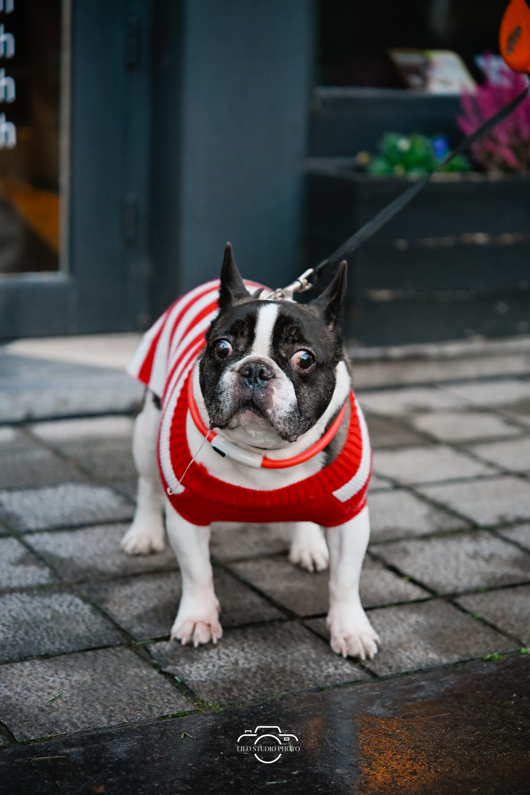 Lilo Studio Photo 00064